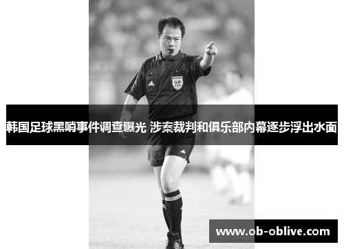 韩国足球黑哨事件调查曝光 涉案裁判和俱乐部内幕逐步浮出水面